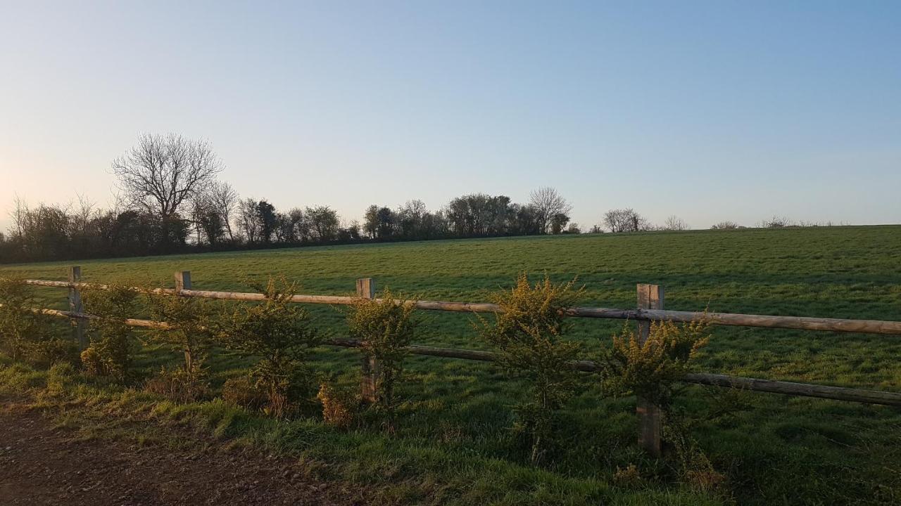 Le Domaine Des Roseraies Monfréville Zewnętrze zdjęcie