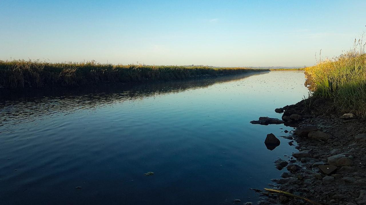 Le Domaine Des Roseraies Monfréville Zewnętrze zdjęcie